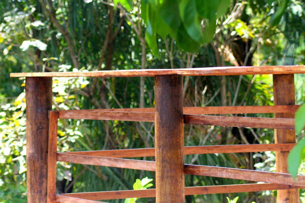 Chacara Ando Bed And Breakfast Águas de Santa Barbara Extérieur photo